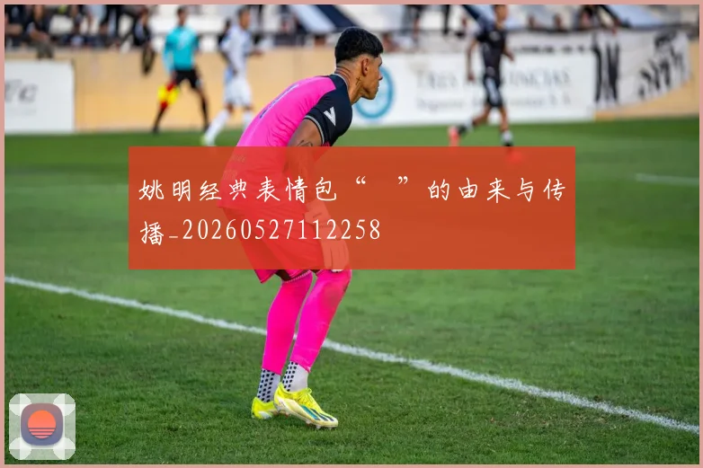 姚明经典表情包“囧”的由来与传播_20260527112258
